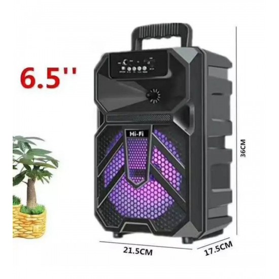 KIMISO 6.5'' Karaoke Wireless Bluetooth Speaker QS 2601