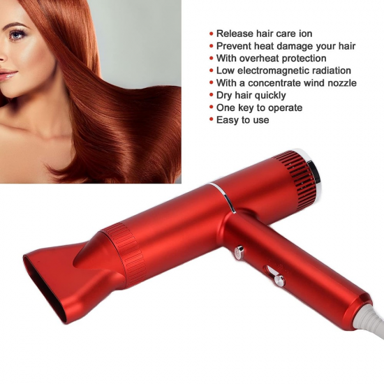 1000W Hair Dryer