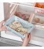 3in1 Adjustable Refrigerator Strainer Shelf and Egg Organizer