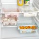 3in1 Adjustable Refrigerator Strainer Shelf and Egg Organizer