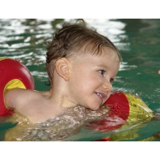 Myminibaby Advanced Swimming Armbands