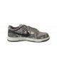 Nike Dunk Low SB Men's Sports Shoes  